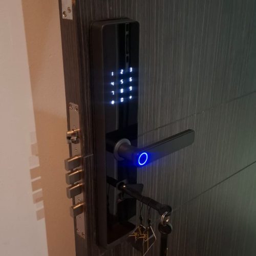 WhatsApp Image 2026-02-16 at 1.28.36 PM