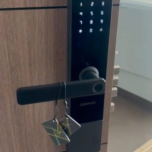 WhatsApp Image 2026-02-16 at 1.28.37 PM